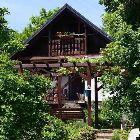 Na Okic - A Private Forest Oasis Sveti Martin pod Okicem Eksteriør billede