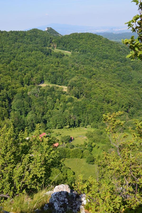 Na Okic - A Private Forest Oasis Sveti Martin pod Okicem Eksteriør billede
