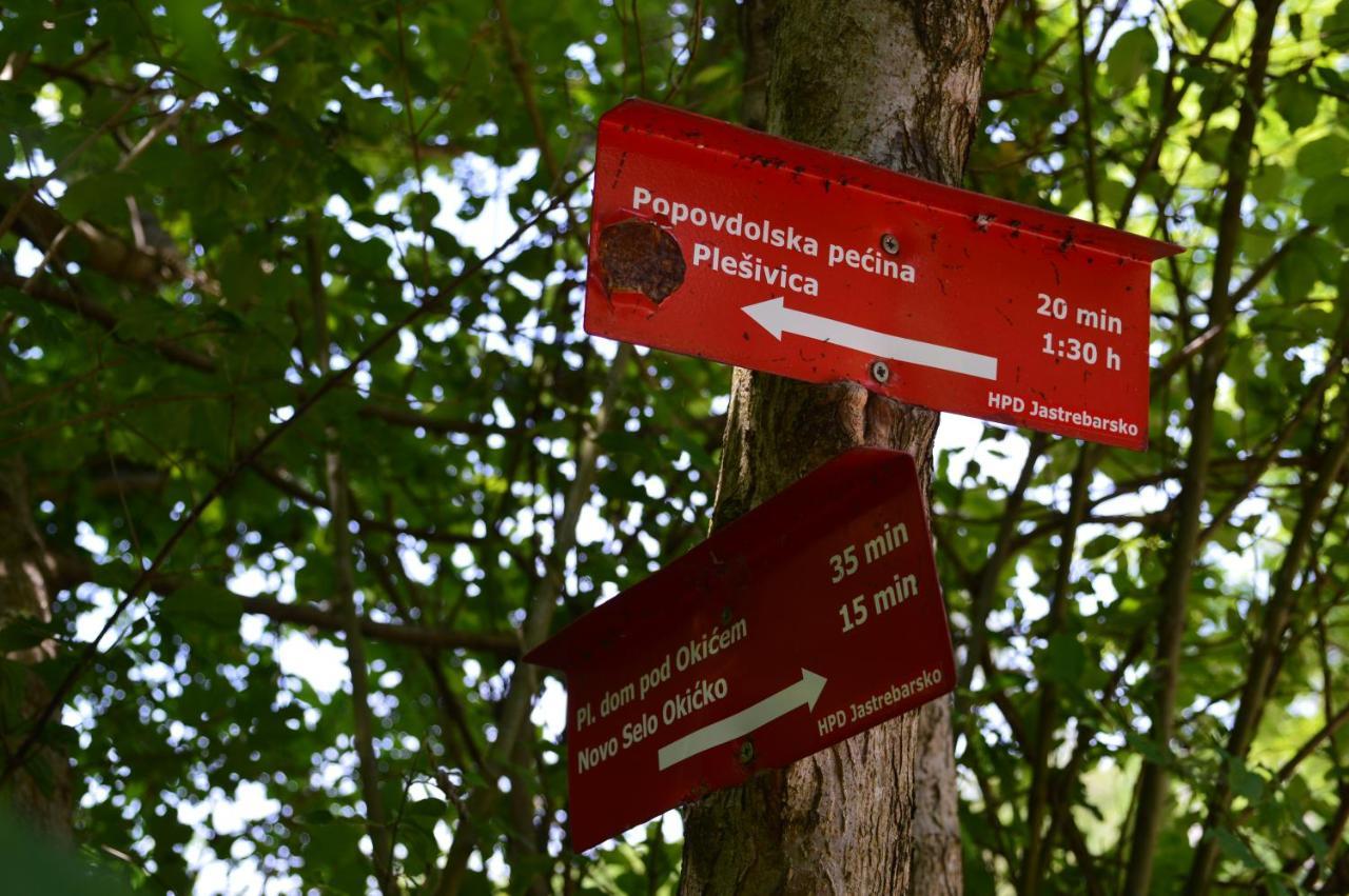 Na Okic - A Private Forest Oasis Sveti Martin pod Okicem Eksteriør billede