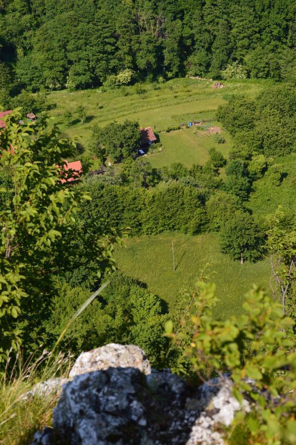 Na Okic - A Private Forest Oasis Sveti Martin pod Okicem Eksteriør billede