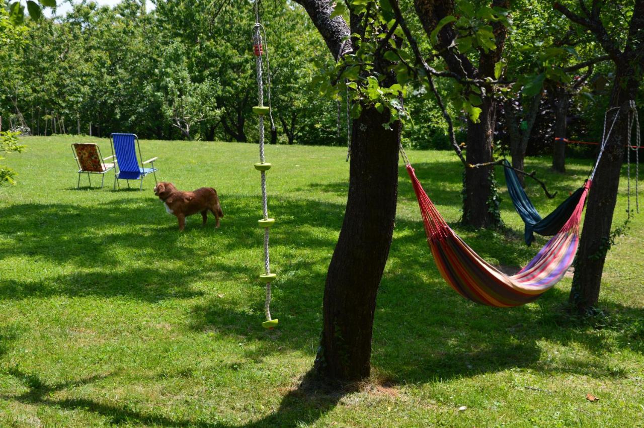Na Okic - A Private Forest Oasis Sveti Martin pod Okicem Eksteriør billede