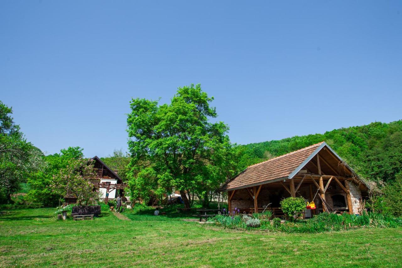 Na Okic - A Private Forest Oasis Sveti Martin pod Okicem Eksteriør billede